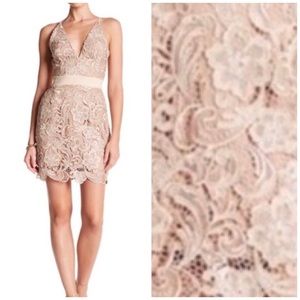 DRESS THE POPULATION AVA LACE  MINI DRESS